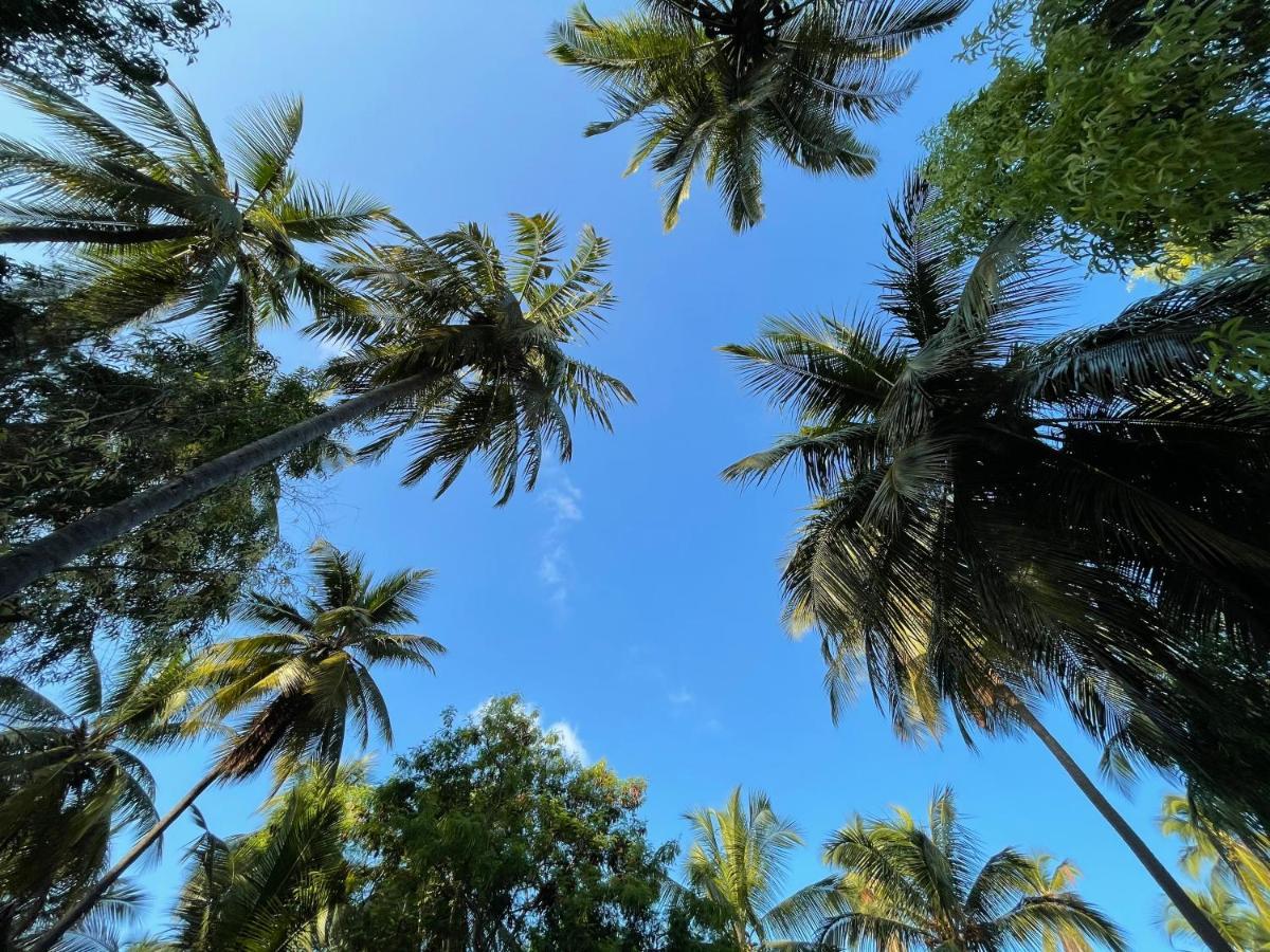 Your Zanzibar Place Paje Luaran gambar