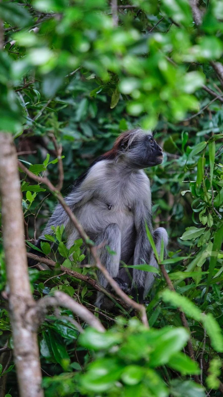 Your Zanzibar Place Paje Luaran gambar