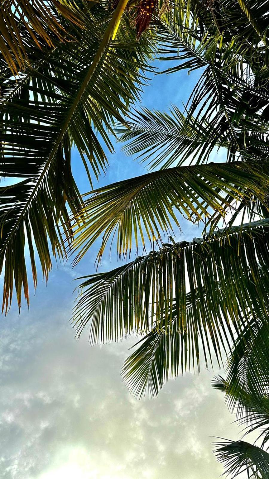 Your Zanzibar Place Paje Luaran gambar