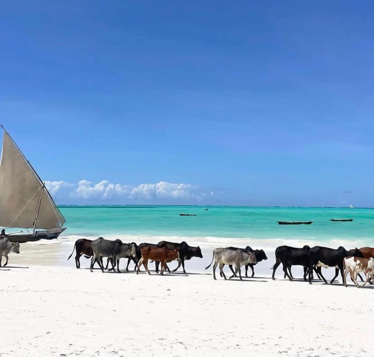 Your Zanzibar Place Paje Luaran gambar