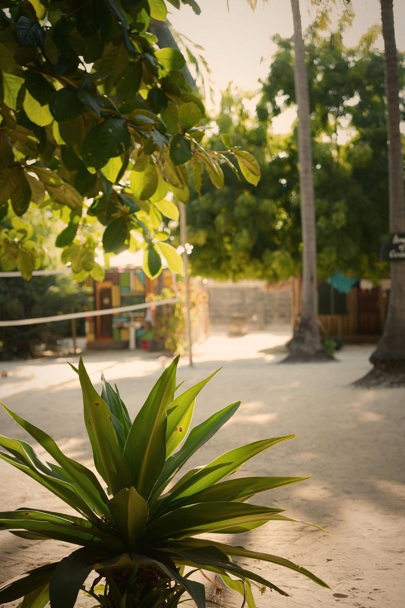 Your Zanzibar Place Paje Luaran gambar