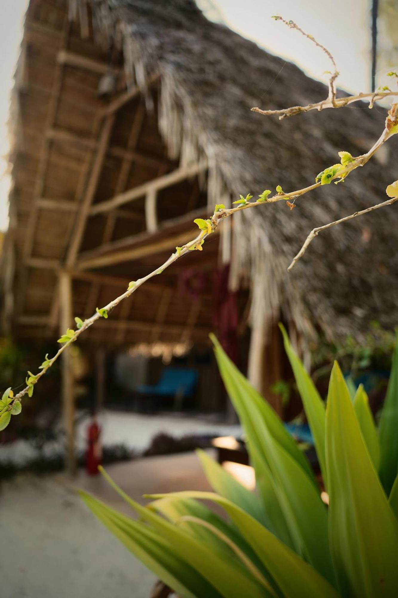 Your Zanzibar Place Paje Luaran gambar